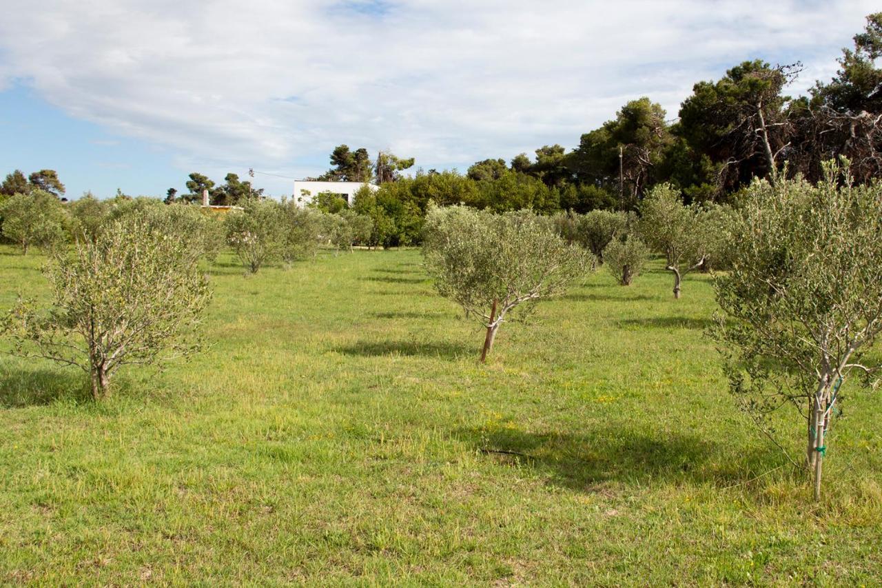Villa Rosemary Park Zadar Exterior photo