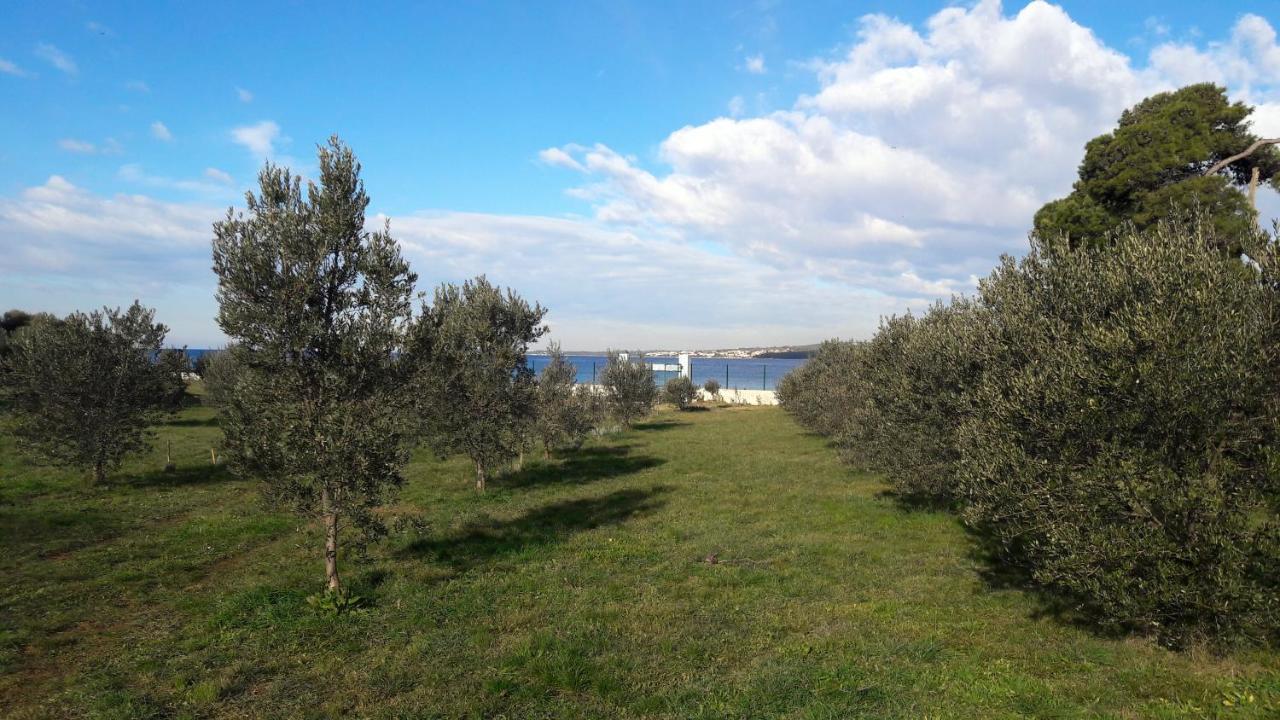 Villa Rosemary Park Zadar Exterior photo
