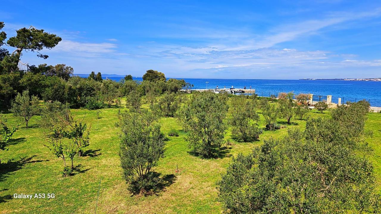 Villa Rosemary Park Zadar Exterior photo